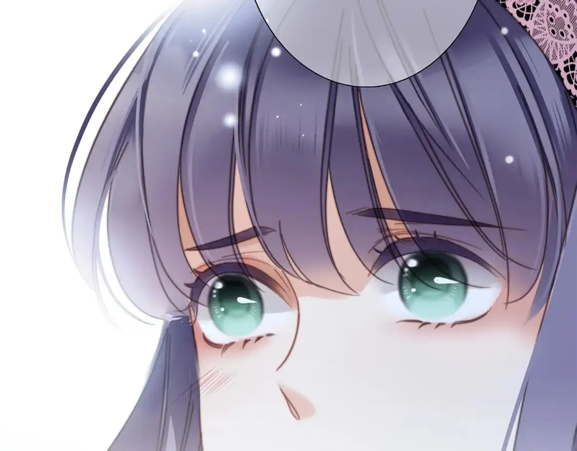 56：保护36