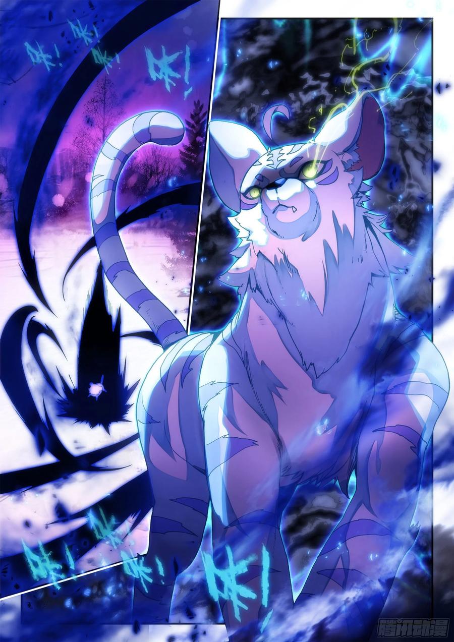 61 大肥猫11