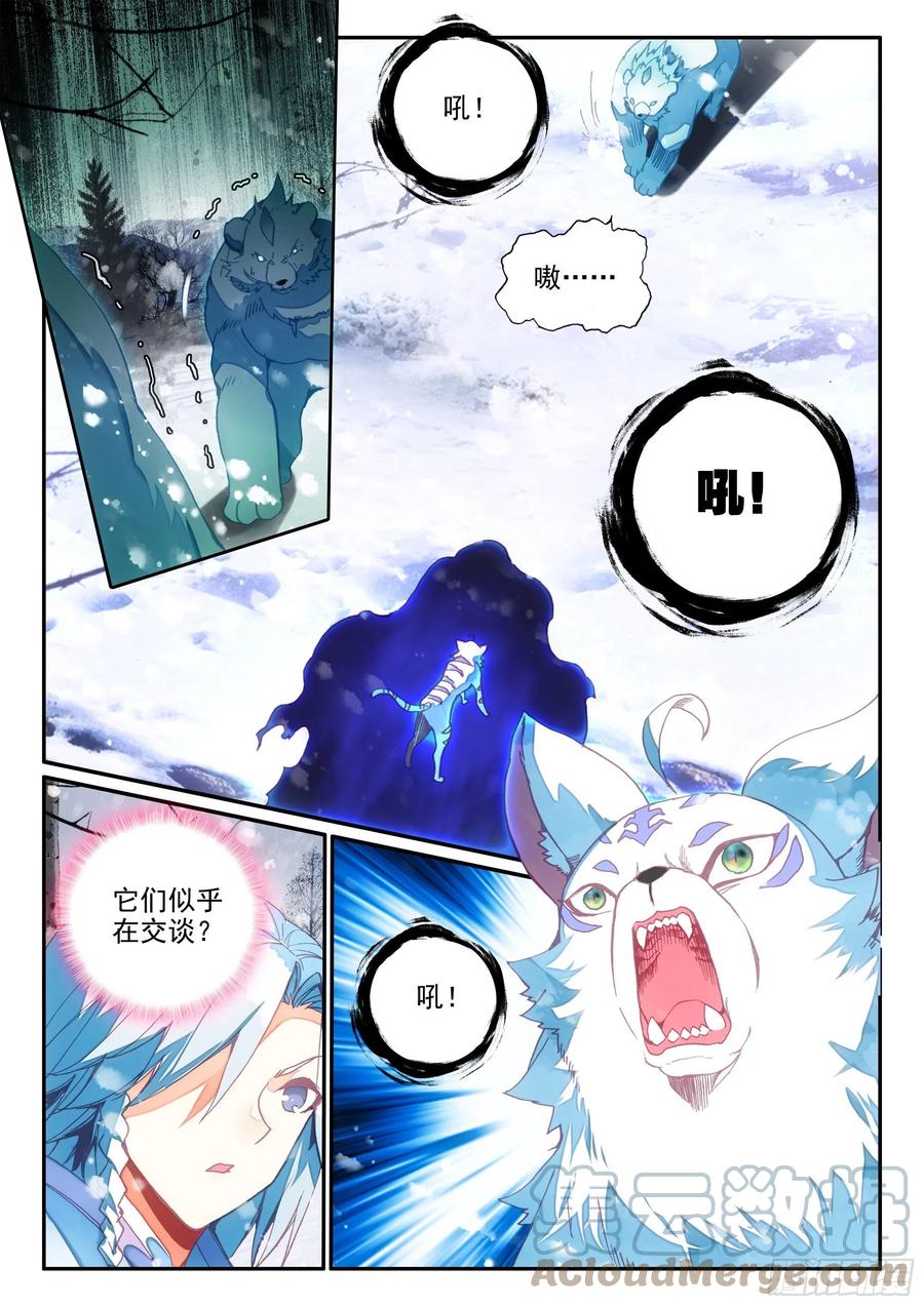 61 大肥猫14
