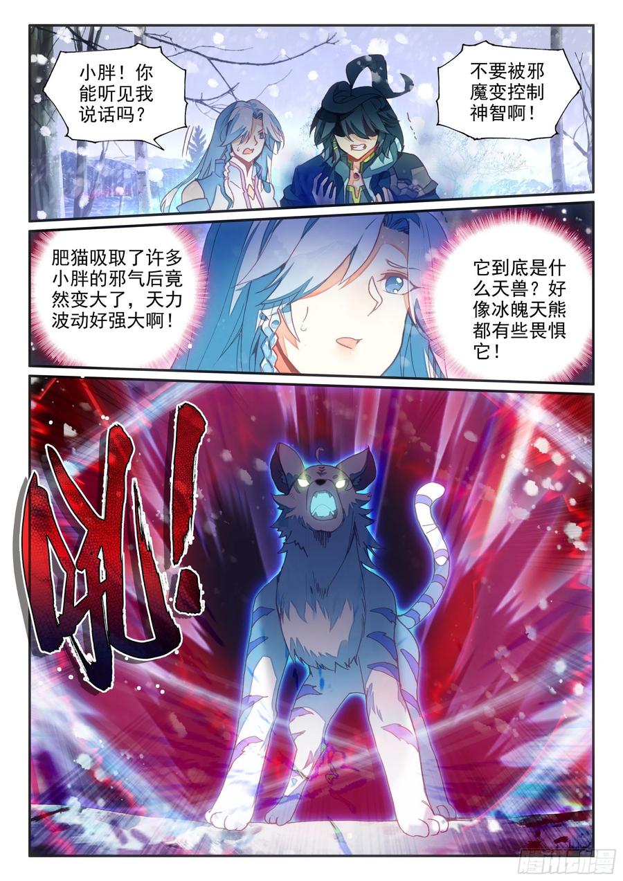 61 大肥猫13