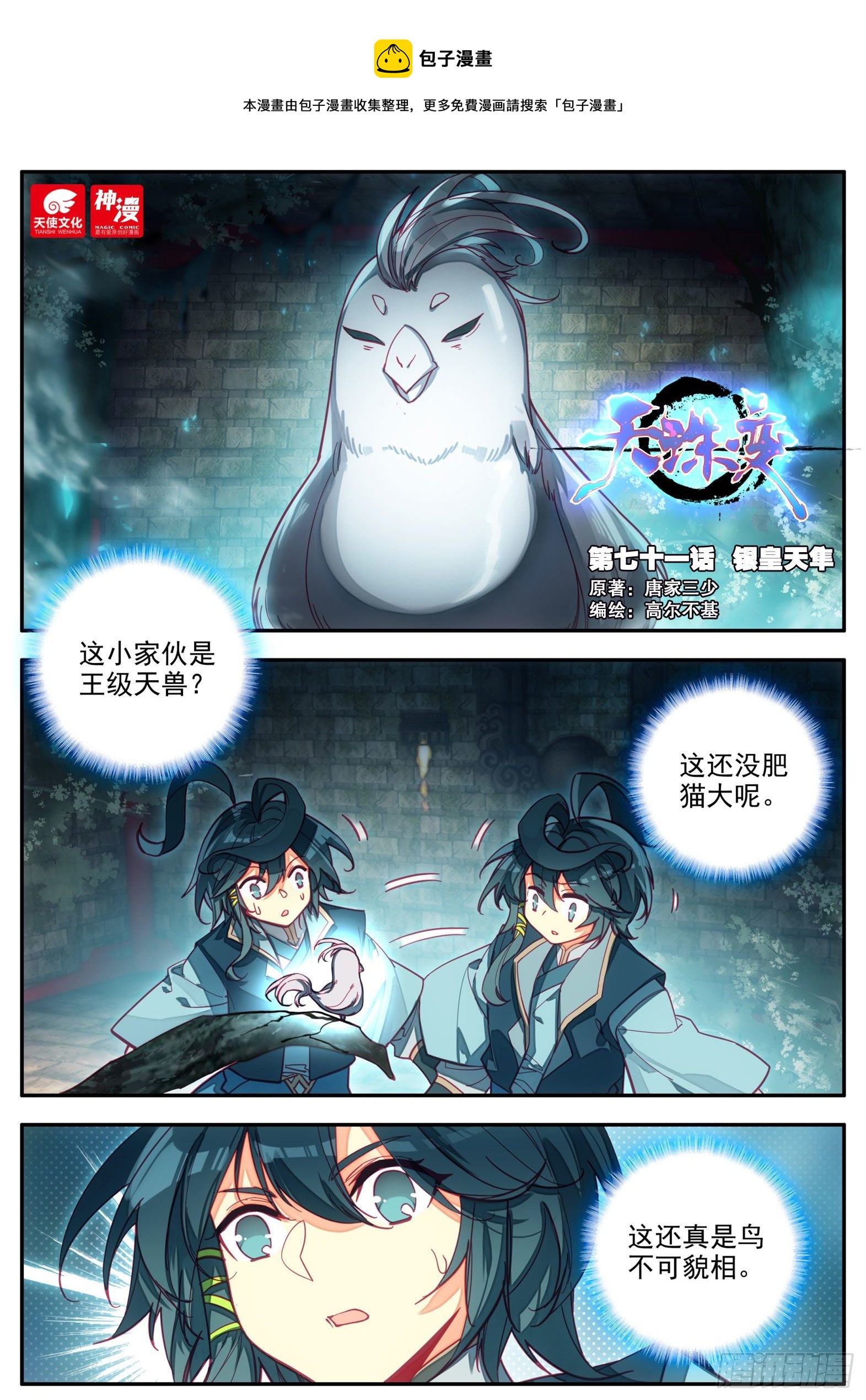 71 银皇天隼0