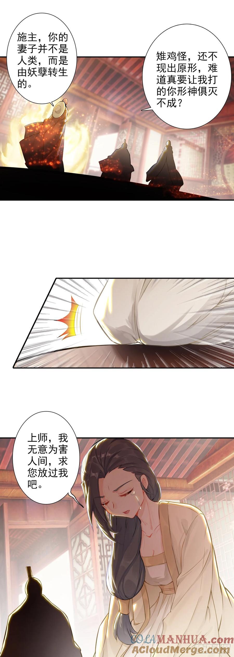 88 雉鸡精20