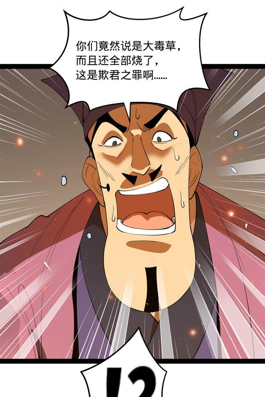 62 火烧大毒草27