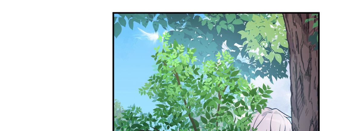 17 有种solo！6