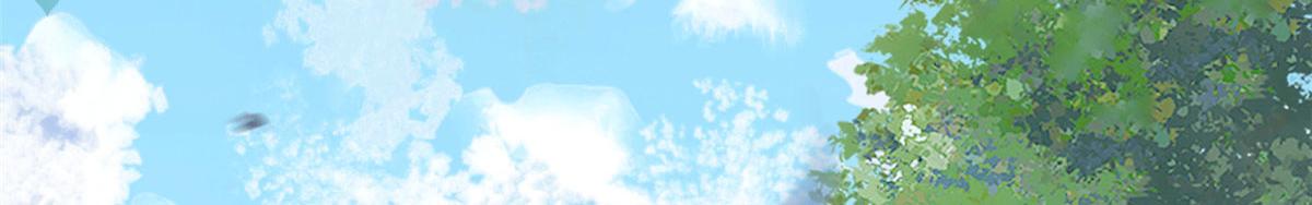 17 有种solo！27