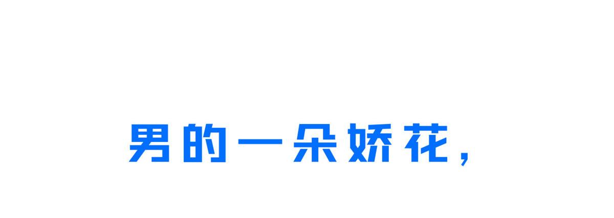 预告17