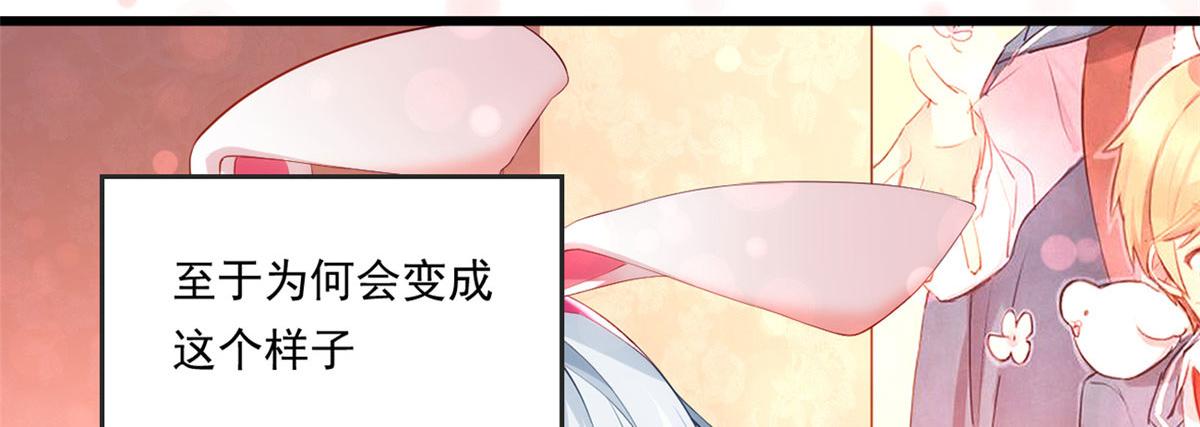 预告11