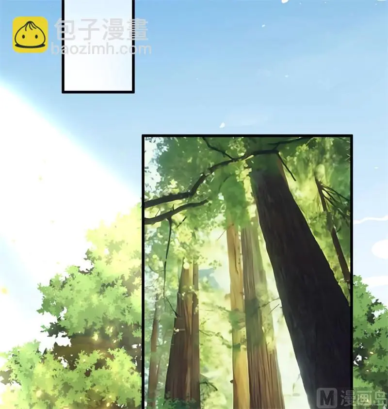 125 幻境与预言7