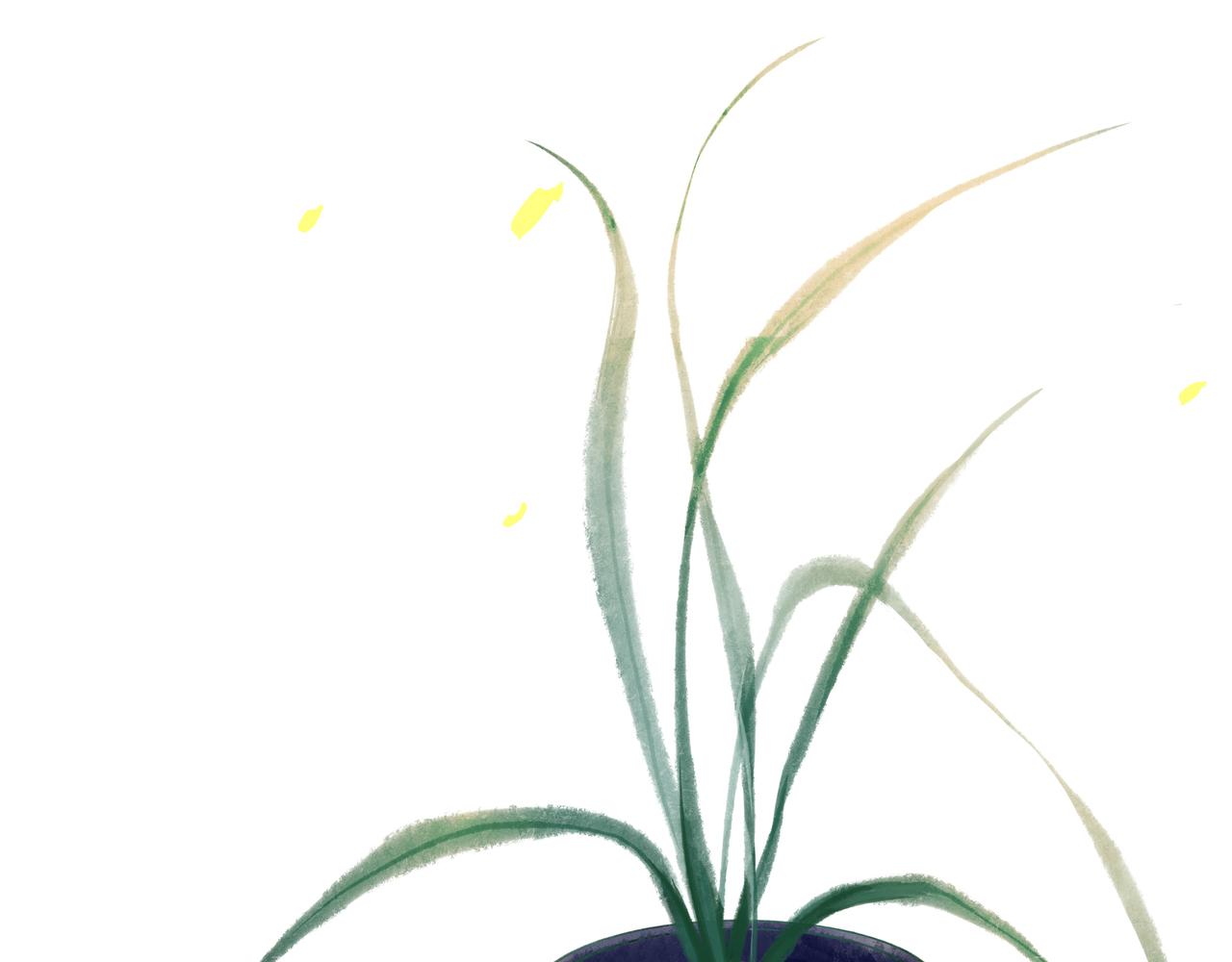 24.朝南56