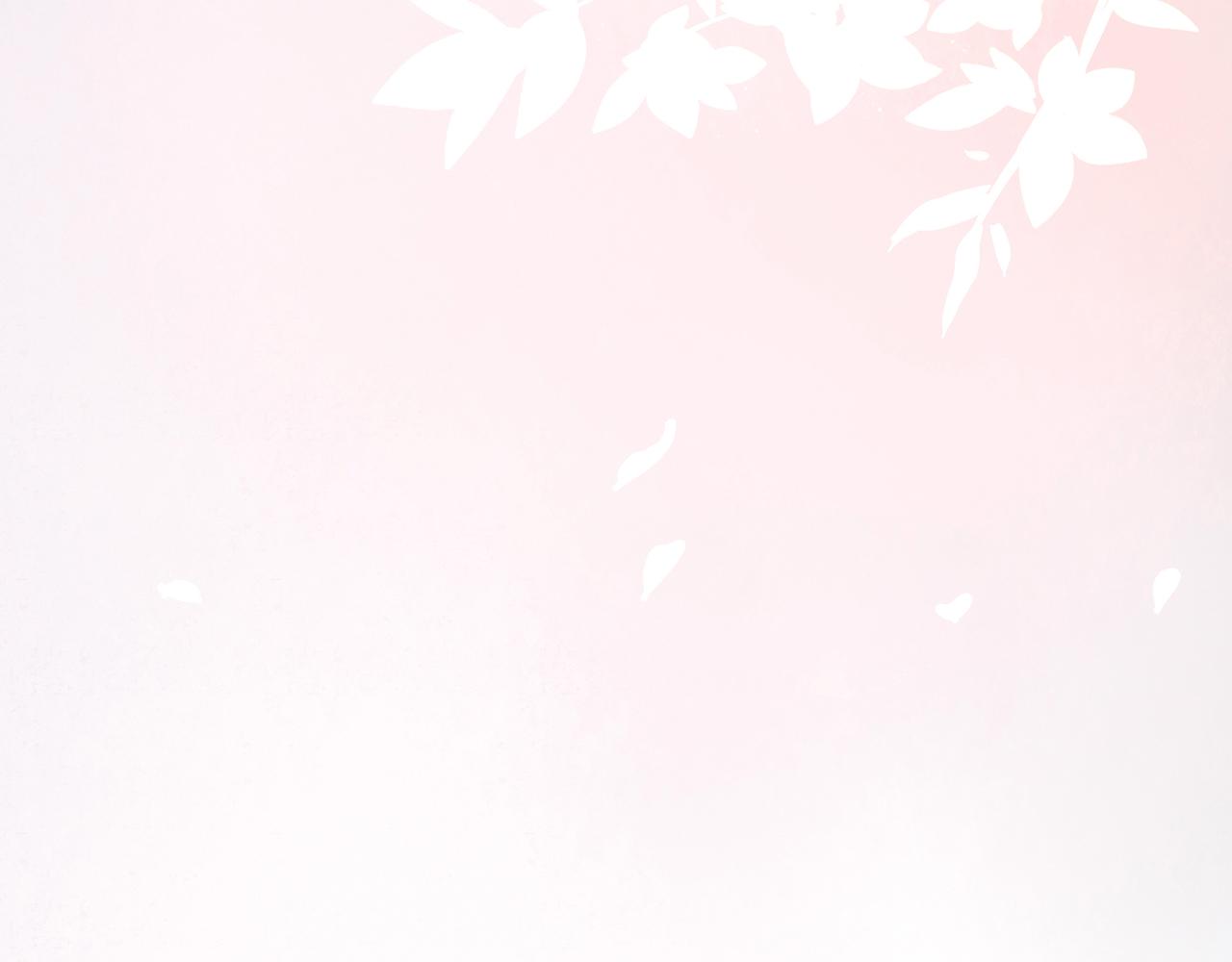 24.朝南41