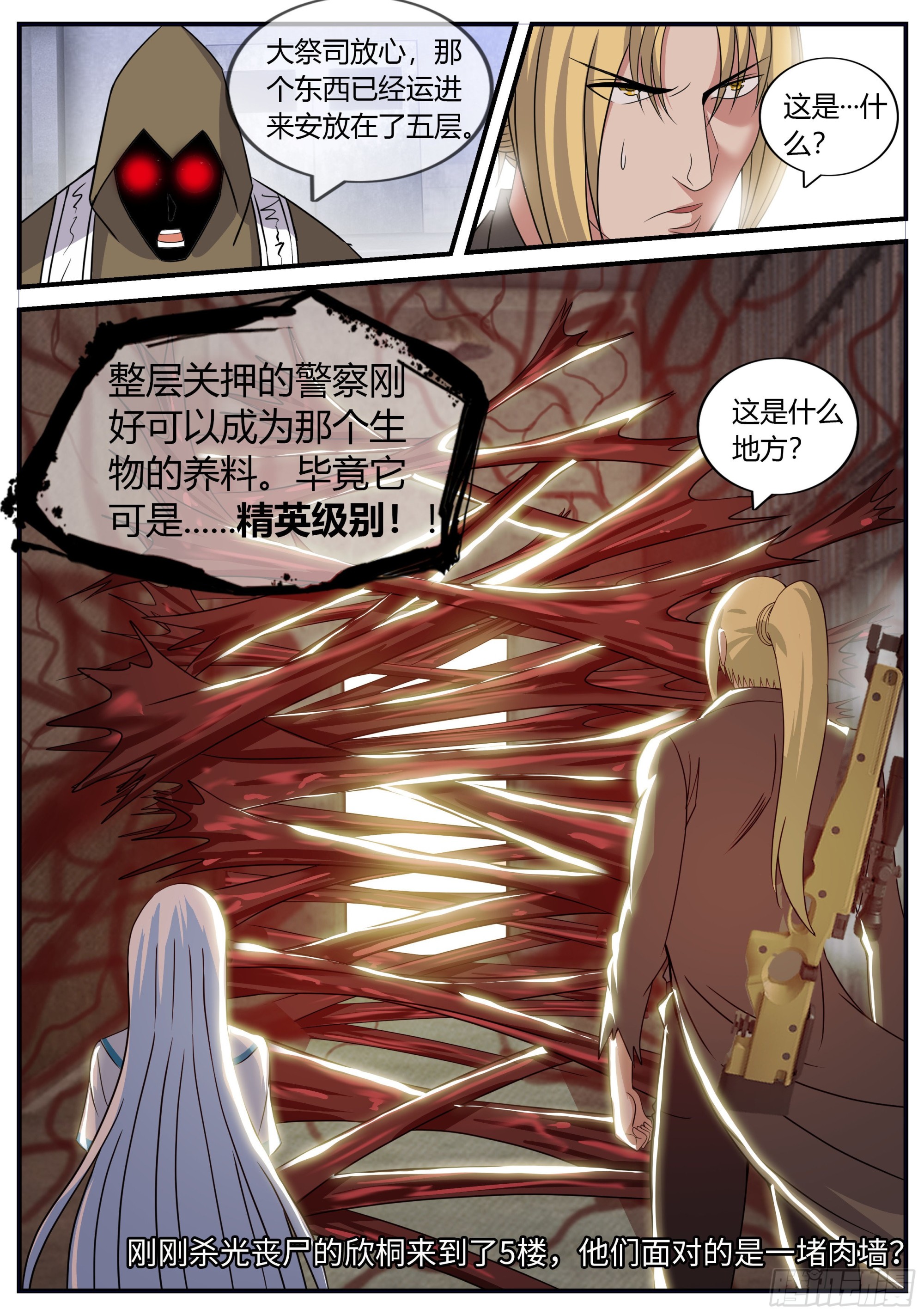 精英级！11