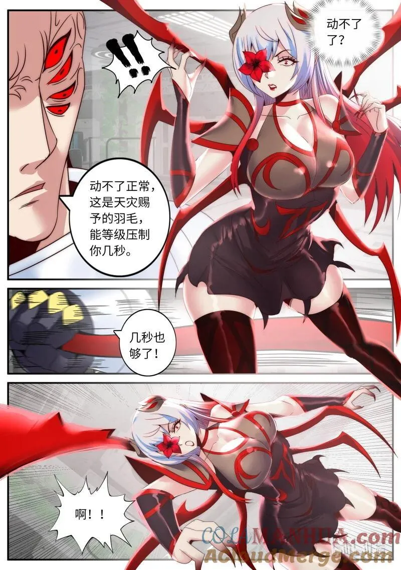 288 全球形式9