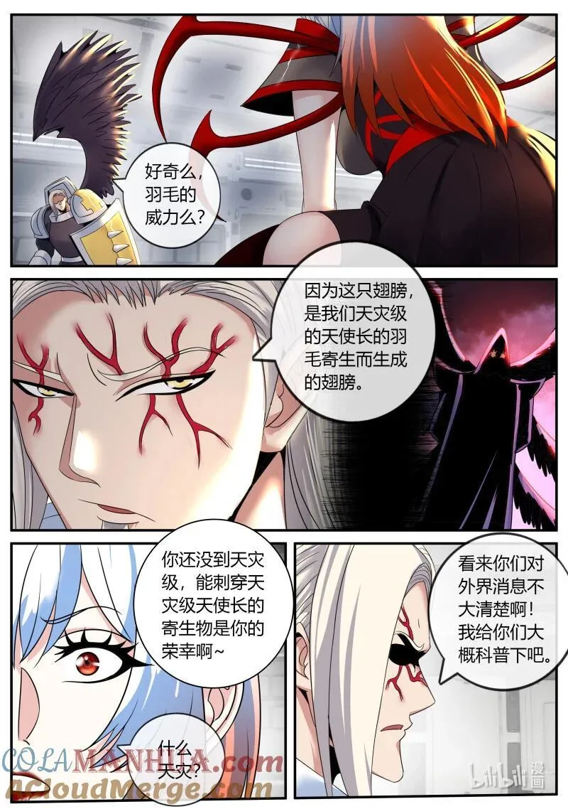 288 全球形式2