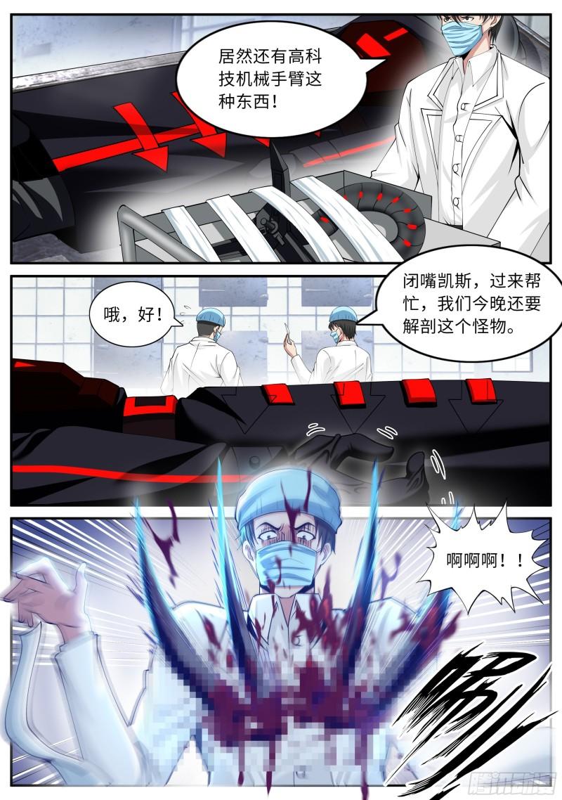 老鹰11