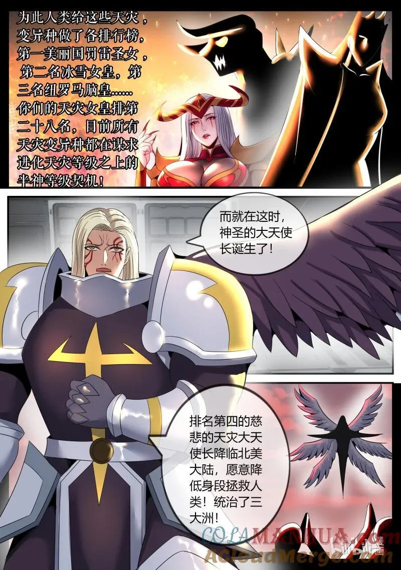 288 全球形式4