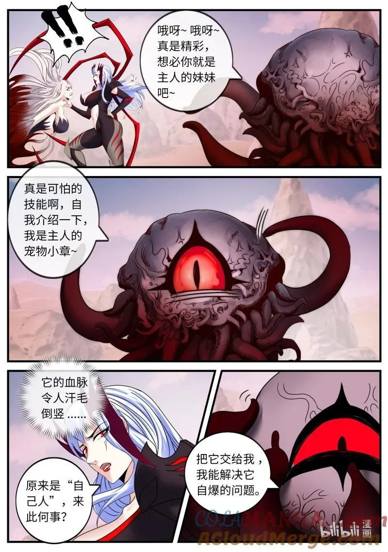 354 占据3