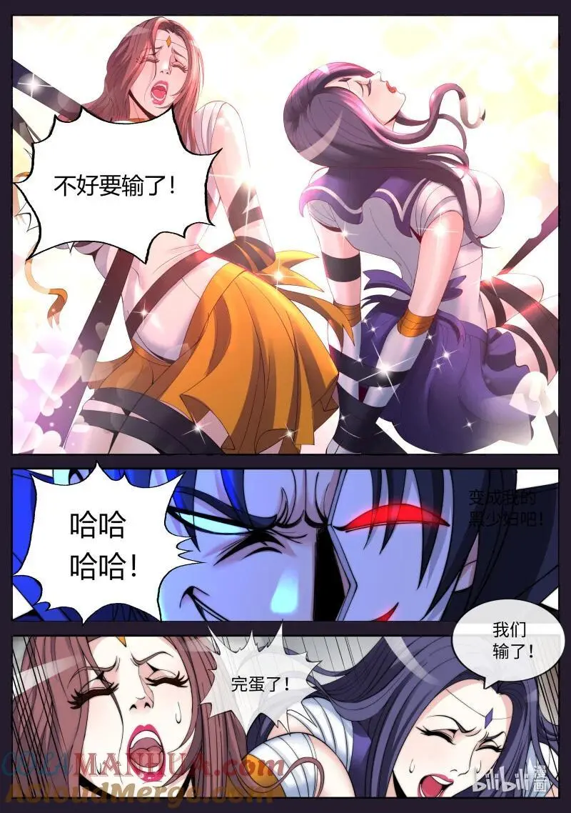 311 双子星11