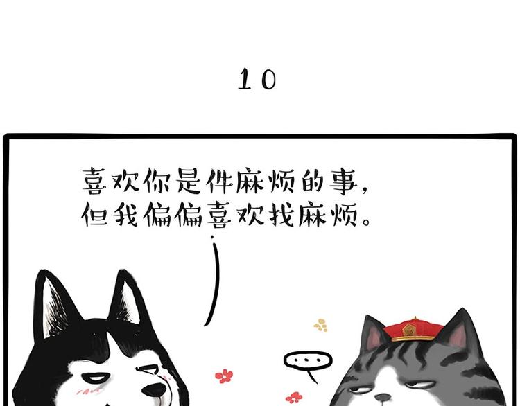 第197话 猫怼狗53