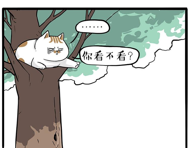 第270话 胖老猫你个大骗子！51