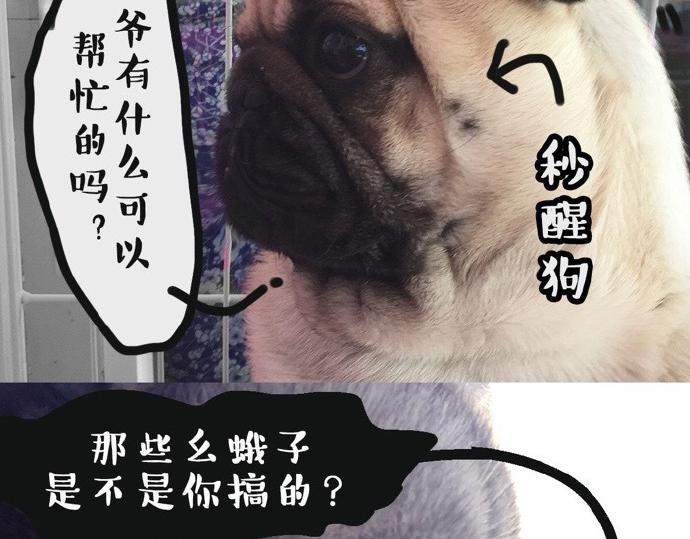 第26话 犯错你会卖萌求原谅吗20