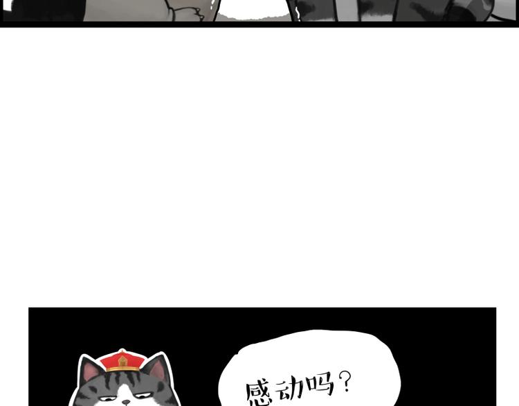 第267话 不让你流浪92