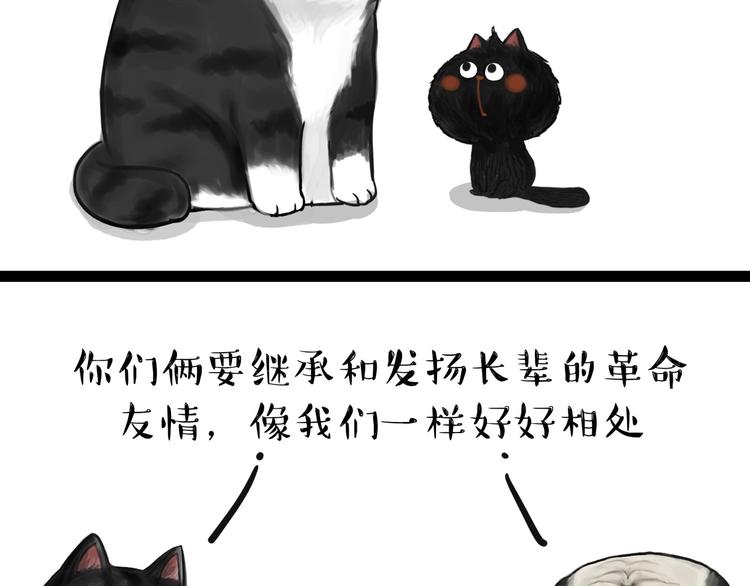 第57话 宠物太粘人是什么体验11
