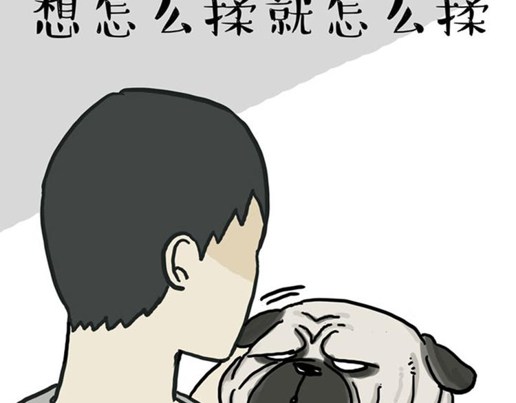 第36话 猫奴为什么没有尊严13