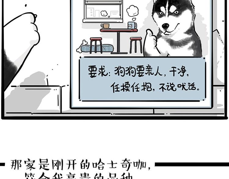 第194话 生活不易，猫狗打工2
