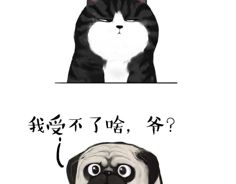 第75话 猫奴被嫌弃了6