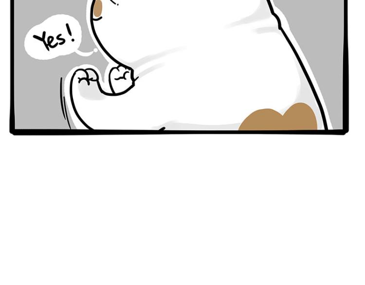 第290话 凶恶猫猫组织36