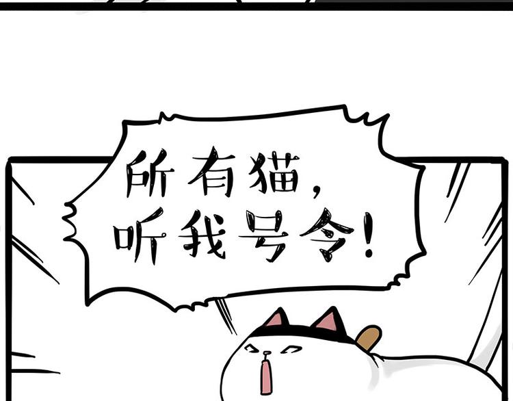 第271话 进击的流浪猫！49