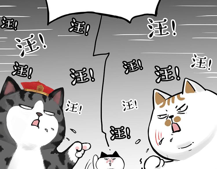 第277话 猫斗猫25