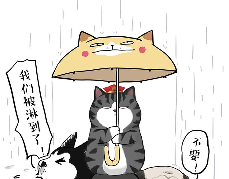 第282话 型男（猫）8