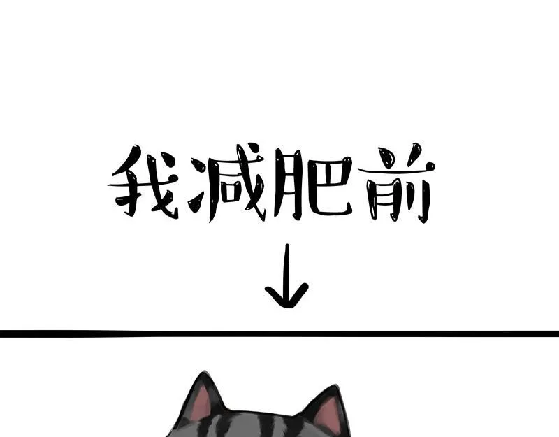 第392话 真相了5