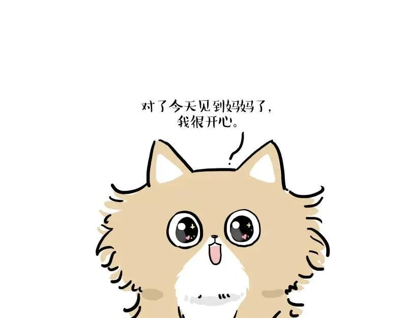 第424话 话痨小猫26