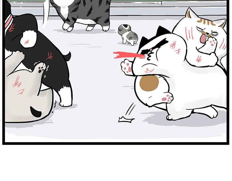 第269话 跟我回家吧12