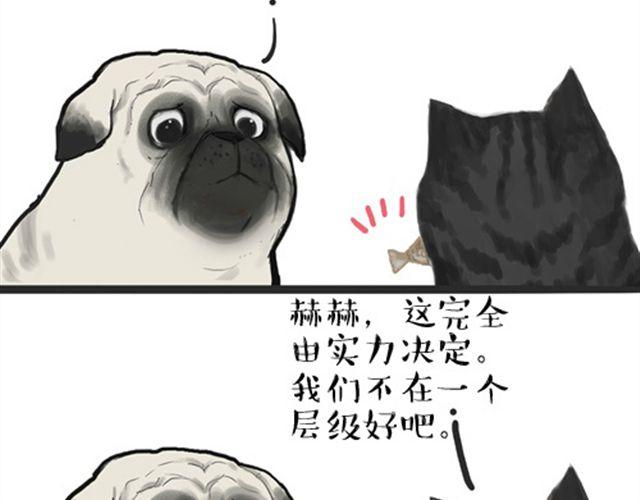 第16话 我家猫怎么能牺牲色相2