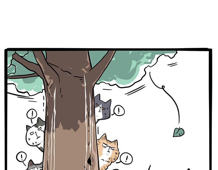第271话 进击的流浪猫！10