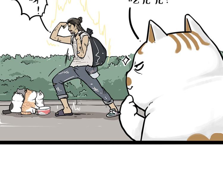 第290话 凶恶猫猫组织34