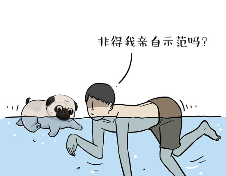第294话 教狗游泳难度爆棚21