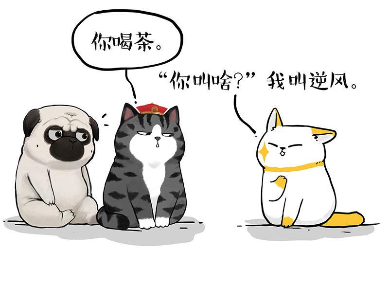 第353话 逆向思维18