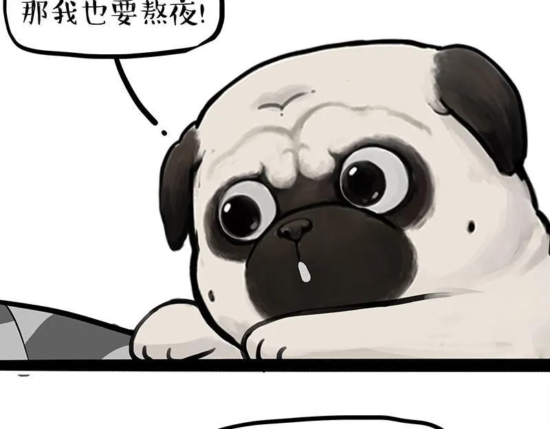 第395话 流星灵得很7