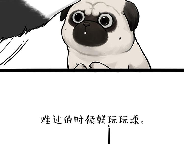 第207话 巴扎黑丢了？！71