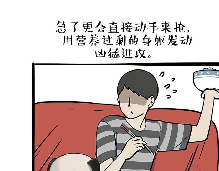 第253话 与狗争饭3