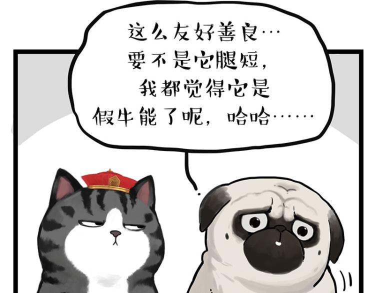 第288话 冒牌货，拿来吧你！19