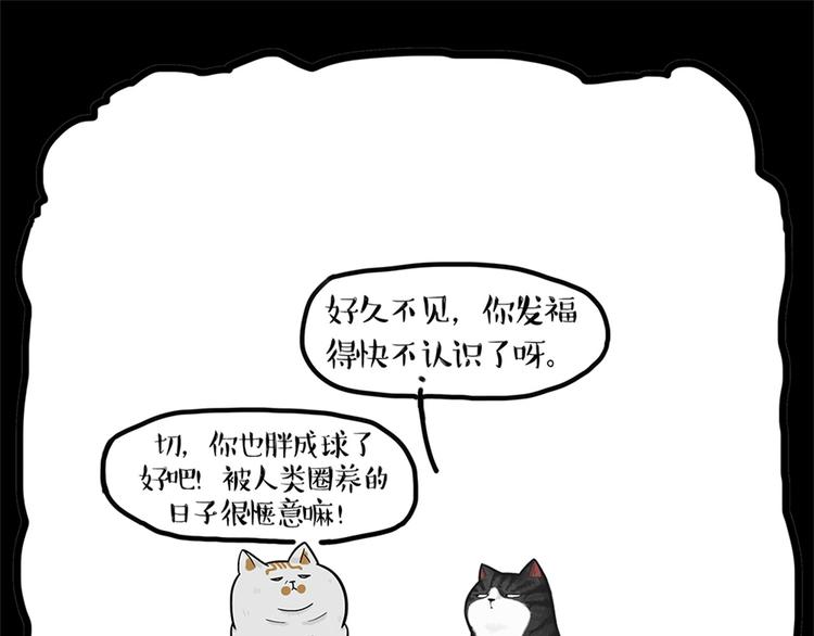 第58话 流浪生活8