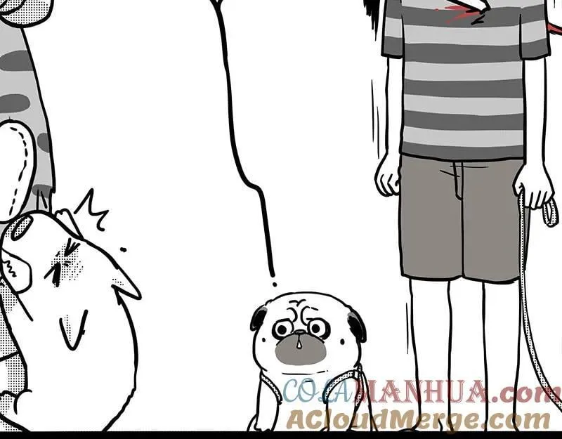 第406话 小狗心事（上）84