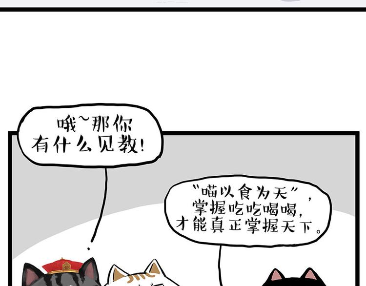 第277话 猫斗猫11
