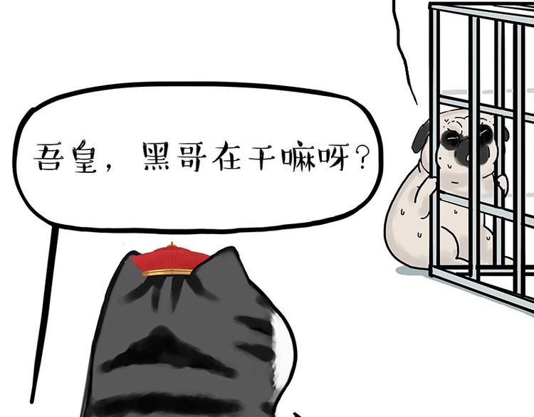 第176话 不要打扰我追求自由63
