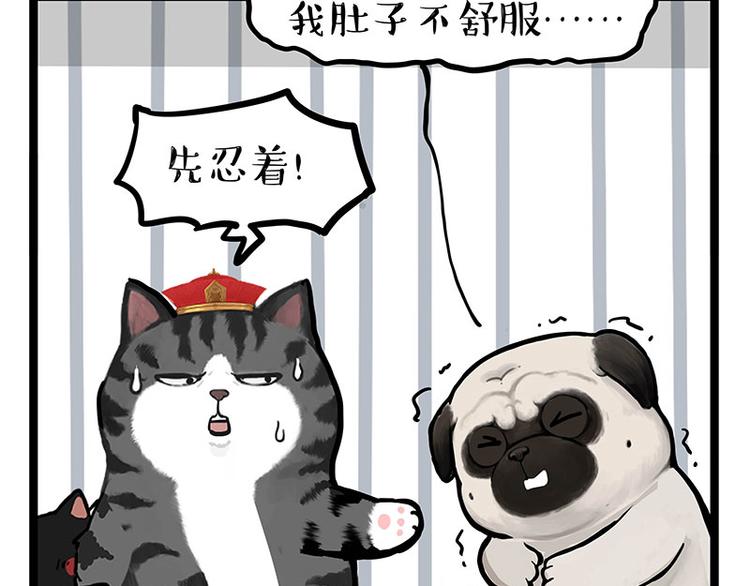 第284话 美喵竟是我自己55